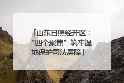 山东日照经开区：“四个聚焦”筑牢湿地保护司法屏障
