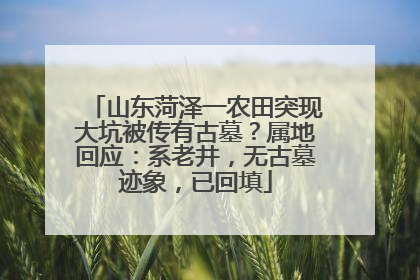 山东菏泽一农田突现大坑被传有古墓？属地回应：系老井，无古墓迹象，已回填