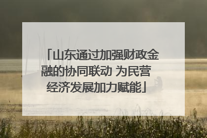 山东通过加强财政金融的协同联动 为民营经济发展加力赋能