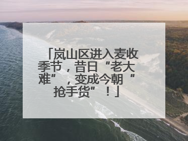 岚山区进入麦收季节，昔日“老大难”，变成今朝“抢手货”！