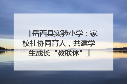 岳西县实验小学：家校社协同育人，共建学生成长“教联体”
