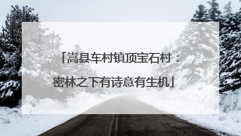 嵩县车村镇顶宝石村：密林之下有诗意有生机