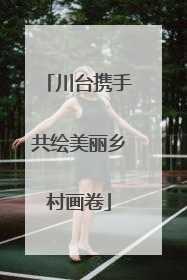 川台携手共绘美丽乡村画卷
