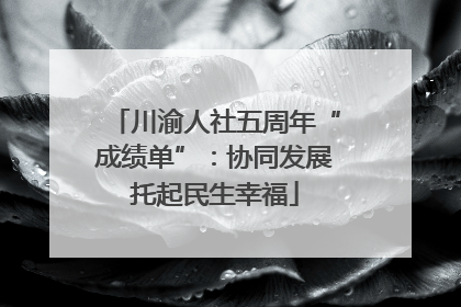 川渝人社五周年“成绩单”：协同发展托起民生幸福