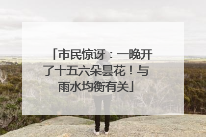 市民惊讶：一晚开了十五六朵昙花！与雨水均衡有关