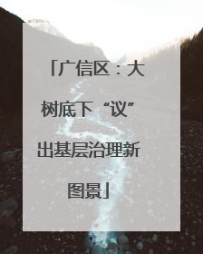 广信区：大树底下“议”出基层治理新图景