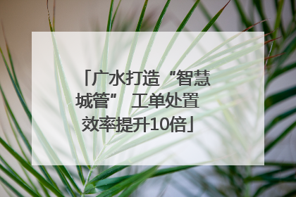 广水打造“智慧城管” 工单处置效率提升10倍