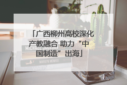 广西柳州高校深化产教融合 助力“中国制造”出海