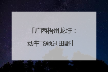 广西梧州龙圩：动车飞驰过田野