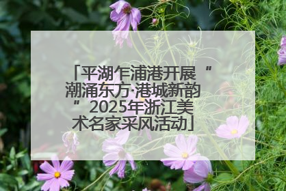 平湖乍浦港开展“潮涌东方·港城新韵”2025年浙江美术名家采风活动