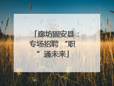 廊坊固安县：专场招聘 “职”通未来
