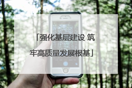 强化基层建设 筑牢高质量发展根基