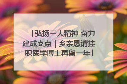 弘扬三大精神 奋力建成支点｜乡亲恳请挂职医学博士再留一年