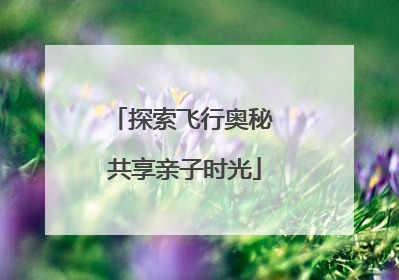 探索飞行奥秘 共享亲子时光