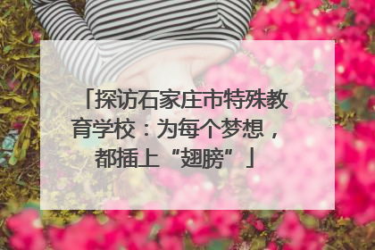 探访石家庄市特殊教育学校：为每个梦想，都插上“翅膀”