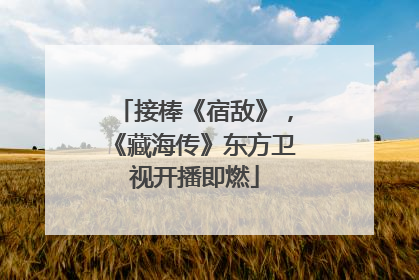 接棒《宿敌》，《藏海传》东方卫视开播即燃