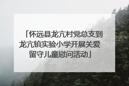 怀远县龙亢村党总支到龙亢镇实验小学开展关爱留守儿童慰问活动