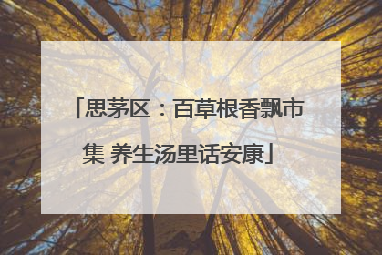 思茅区：百草根香飘市集 养生汤里话安康