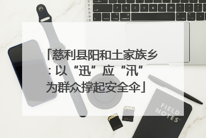 慈利县阳和土家族乡：以“迅”应“汛” 为群众撑起安全伞