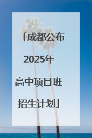成都公布2025年高中项目班招生计划