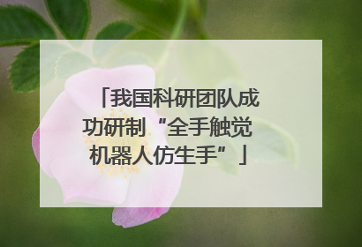 我国科研团队成功研制“全手触觉机器人仿生手”