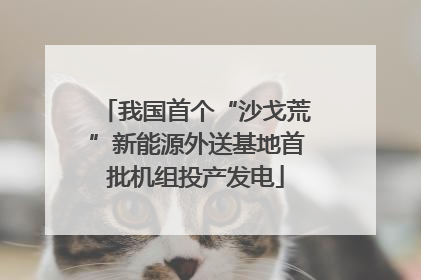 我国首个“沙戈荒”新能源外送基地首批机组投产发电