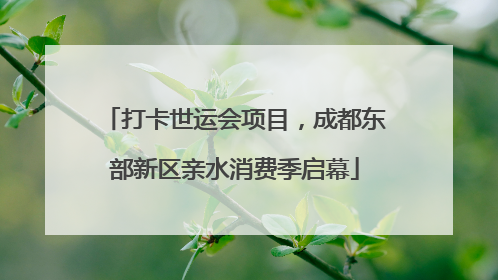 打卡世运会项目，成都东部新区亲水消费季启幕