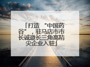打造 “中国药谷”，驻马店市市长诚邀长三角高精尖企业入驻