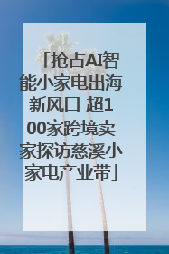 抢占AI智能小家电出海新风口 超100家跨境卖家探访慈溪小家电产业带