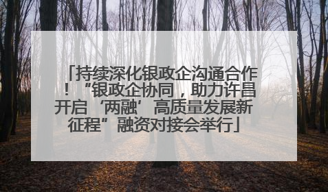 持续深化银政企沟通合作！“银政企协同，助力许昌开启‘两融’高质量发展新征程”融资对接会举行