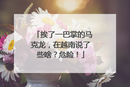 挨了一巴掌的马克龙，在越南说了些啥？危险！