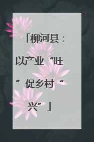 柳河县：以产业“旺”促乡村“兴”