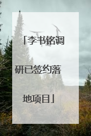 李书铭调研已签约落地项目