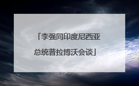 李强同印度尼西亚总统普拉博沃会谈