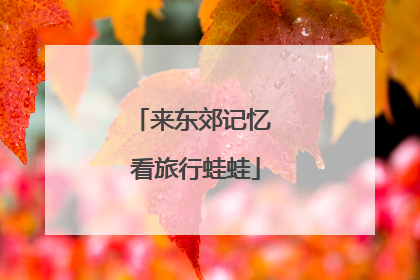来东郊记忆 看旅行蛙蛙