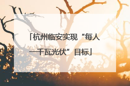 杭州临安实现“每人一千瓦光伏”目标