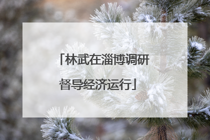 林武在淄博调研督导经济运行