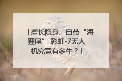 擅长隐身、自带“海狸尾” 彩虹-7无人机究竟有多牛？