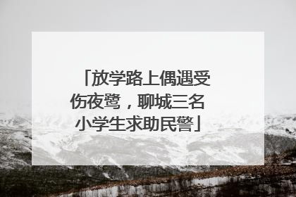 放学路上偶遇受伤夜鹭，聊城三名小学生求助民警