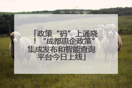 政策“码”上通晓！“成都惠企政策”集成发布和智能查询平台今日上线