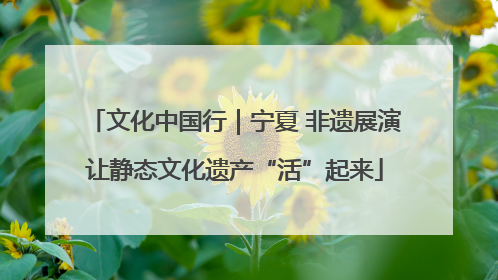 文化中国行｜宁夏 非遗展演让静态文化遗产“活”起来