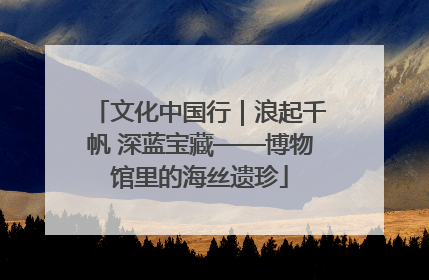 文化中国行｜浪起千帆 深蓝宝藏——博物馆里的海丝遗珍