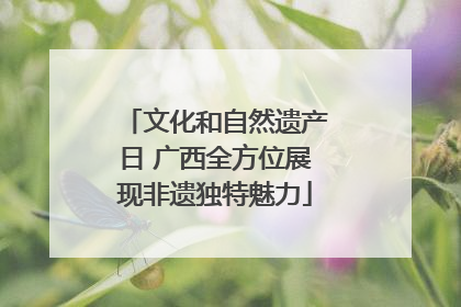 文化和自然遗产日 广西全方位展现非遗独特魅力