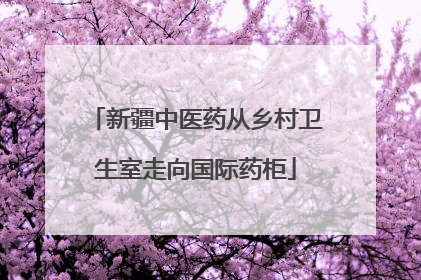 新疆中医药从乡村卫生室走向国际药柜