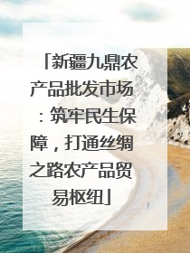 新疆九鼎农产品批发市场：筑牢民生保障，打通丝绸之路农产品贸易枢纽