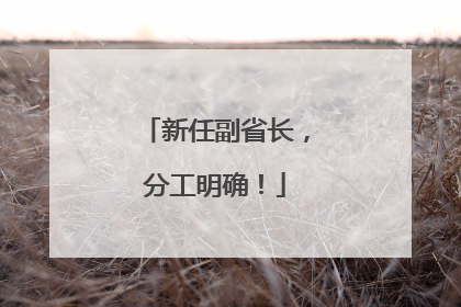 新任副省长，分工明确！