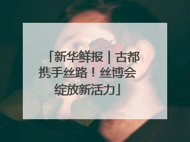 新华鲜报｜古都携手丝路！丝博会绽放新活力