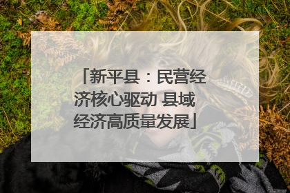 新平县：民营经济核心驱动 县域经济高质量发展