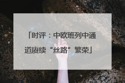 时评：中欧班列中通道赓续“丝路”繁荣
