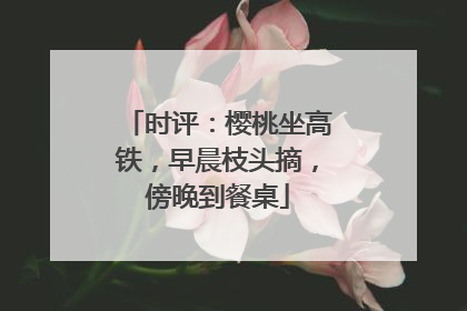 时评：樱桃坐高铁，早晨枝头摘，傍晚到餐桌